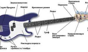 Настройка бас-гитары