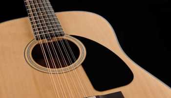 Двенадцатиструнная гитара — покупка, настройка, методика игры