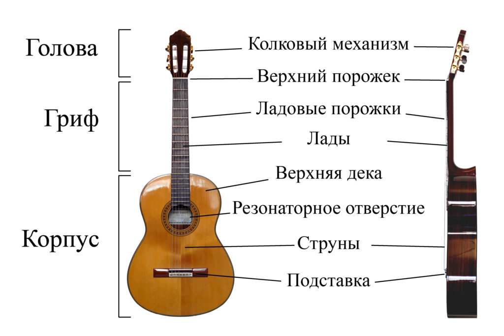 Конструкция классической гитары