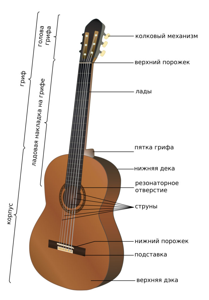 Сравнение акустической и классической гитары по строению и звучанию